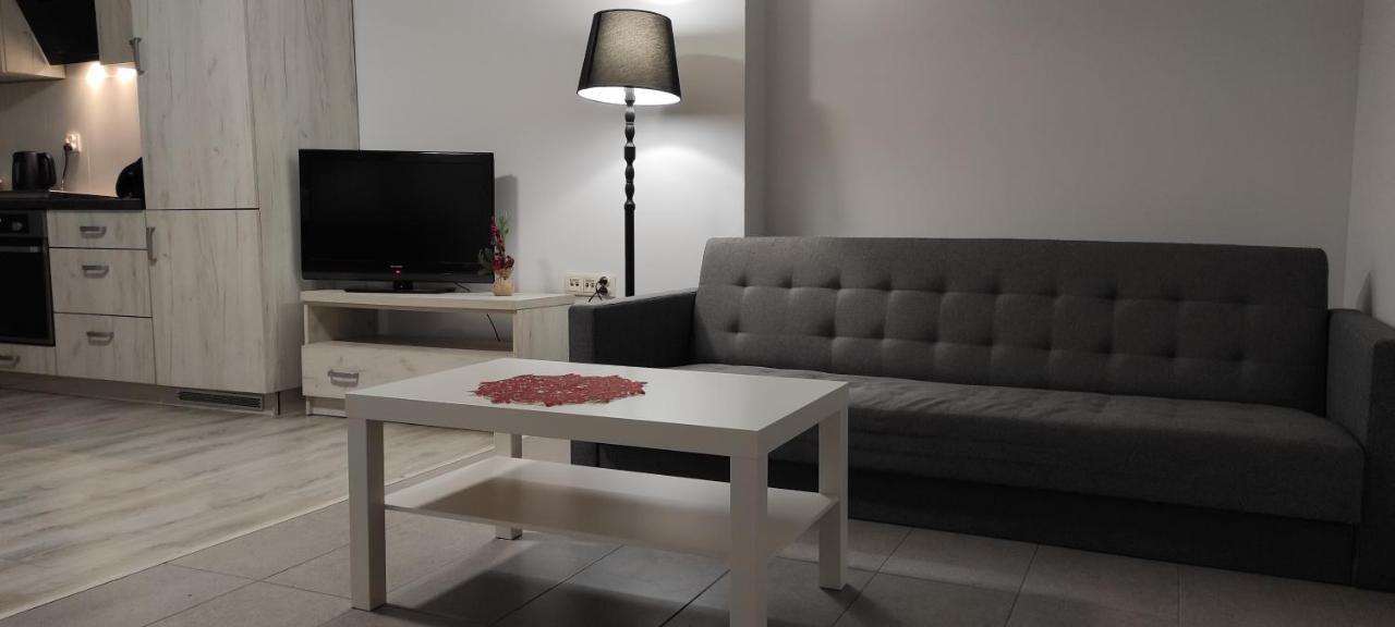 צ'סטוצ'ובה Apartament Krakowska מראה חיצוני תמונה